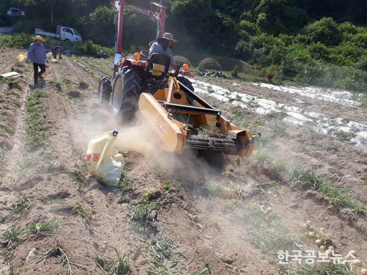 기사 사진
