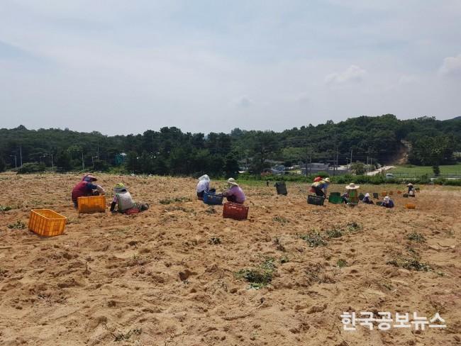 기사 사진