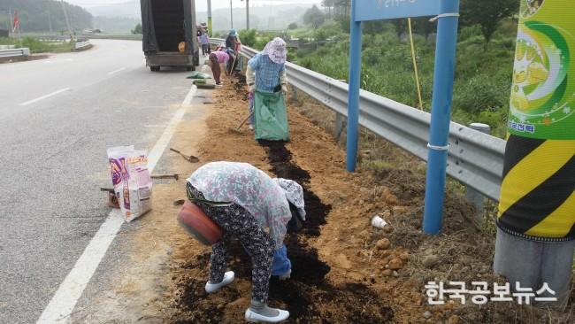 기사 사진