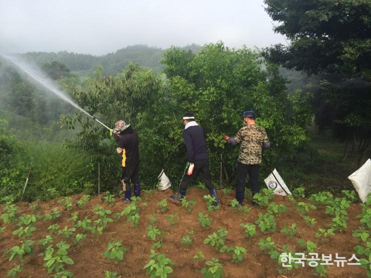 기사 사진