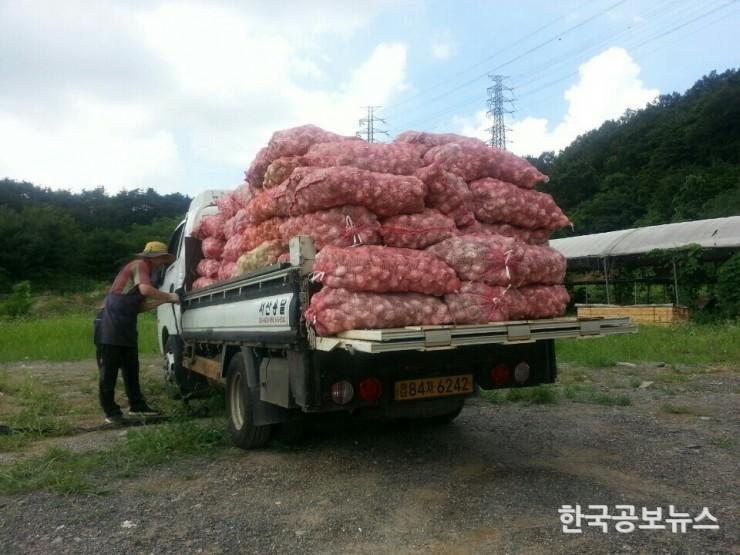 기사 사진