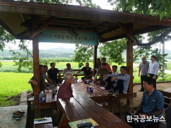 기사 사진