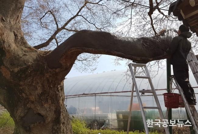기사 사진