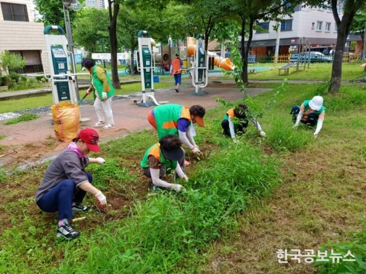기사 사진