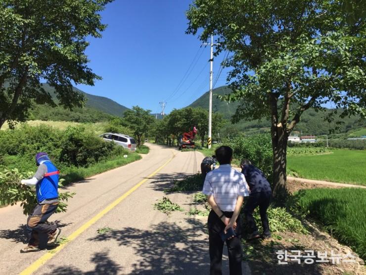 기사 사진