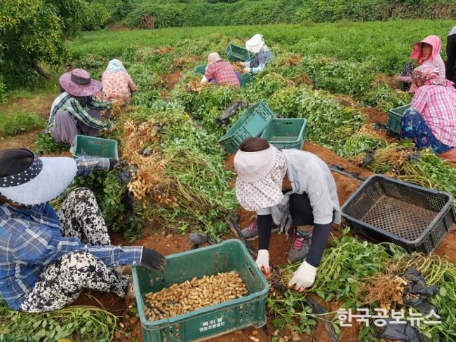 기사 사진