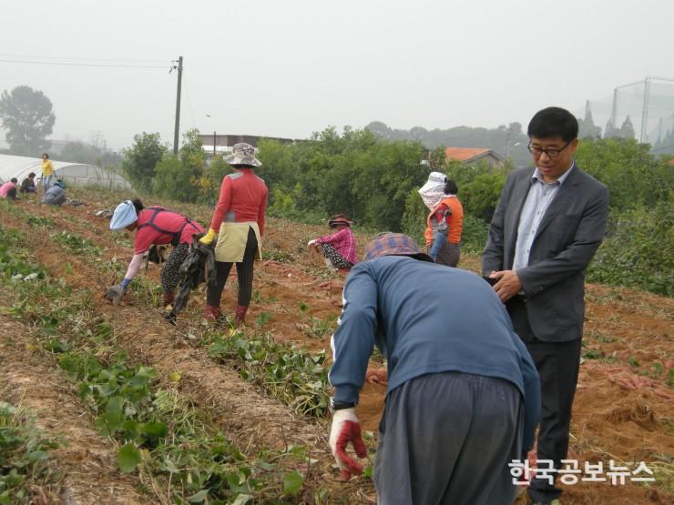 기사 사진