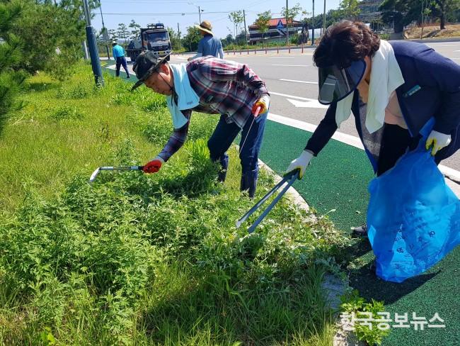 기사 사진