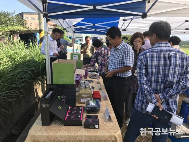기사 사진
