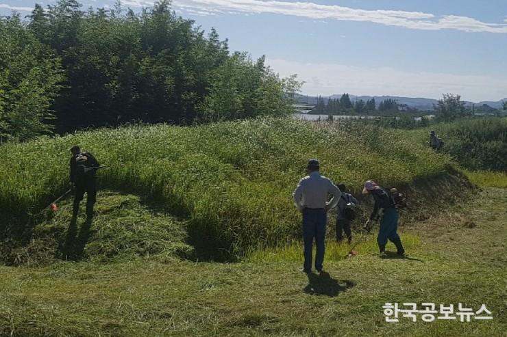 기사 사진