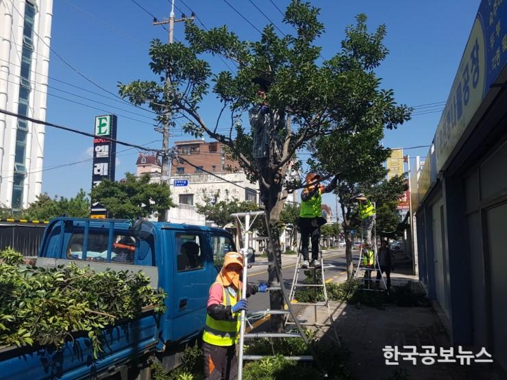 기사 사진
