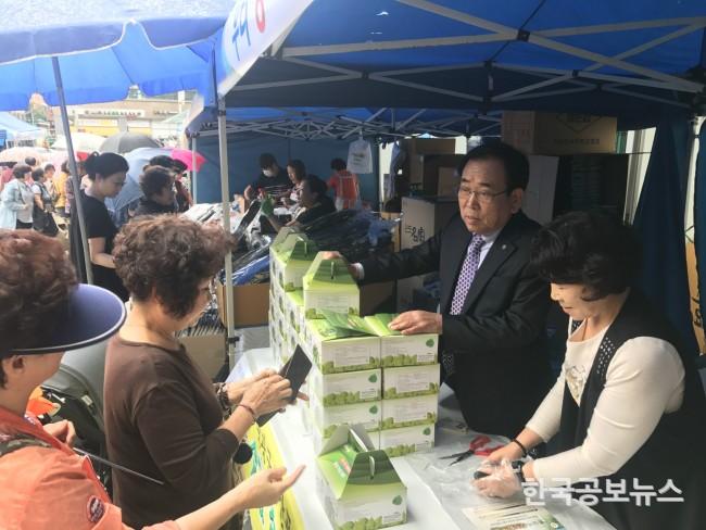 기사 사진
