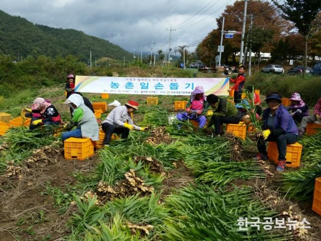 기사 사진