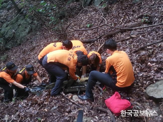 기사 사진