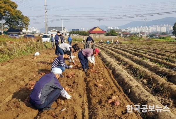 기사 사진