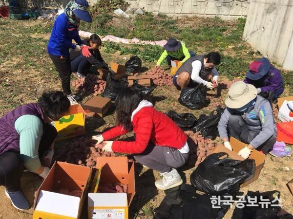 기사 사진