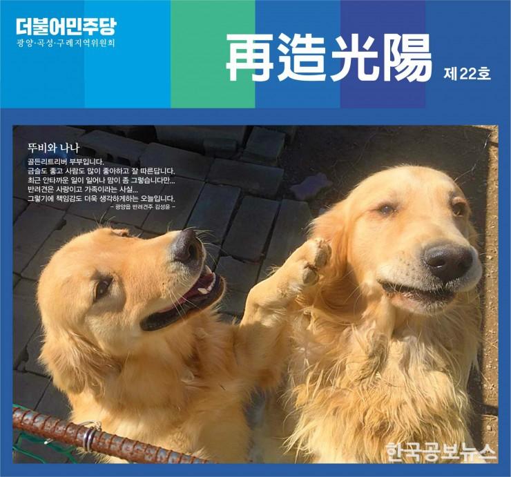 기사 사진