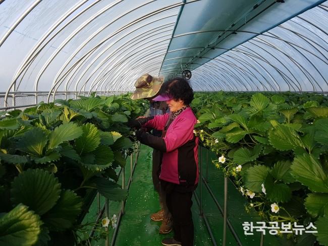 기사 사진
