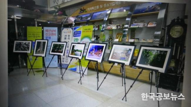 기사 사진