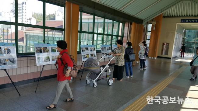 기사 사진