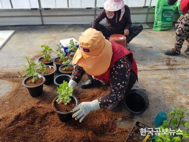 기사 사진