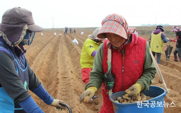 기사 사진