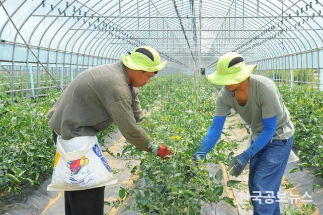 기사 사진