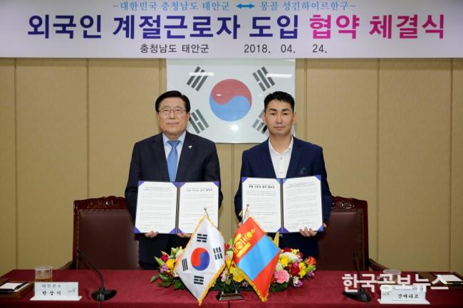 기사 사진