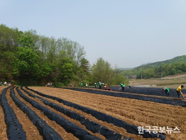 기사 사진