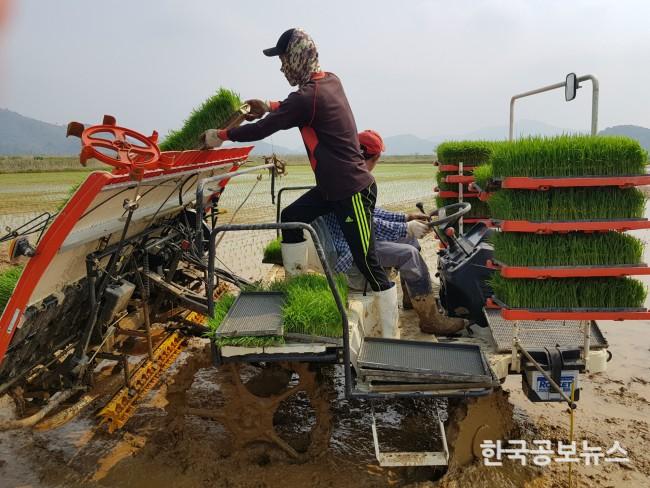 기사 사진