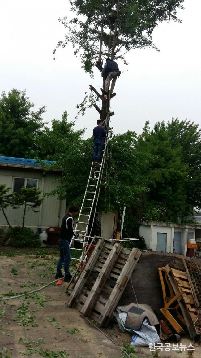 기사 사진