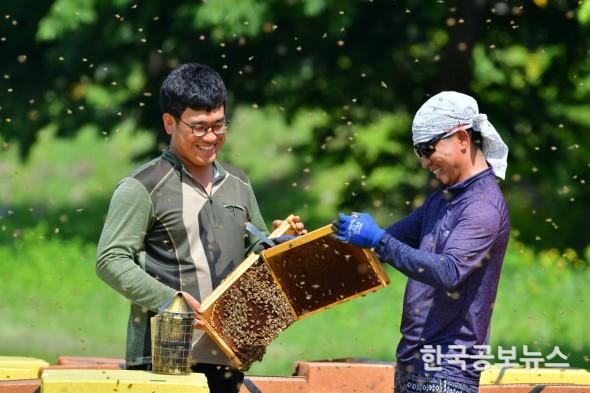 기사 사진