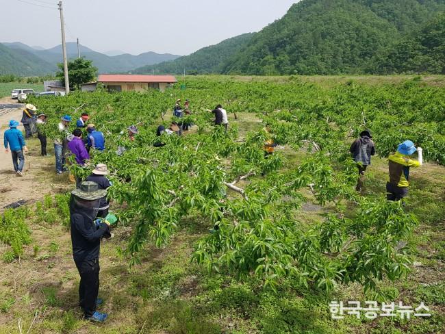 기사 사진