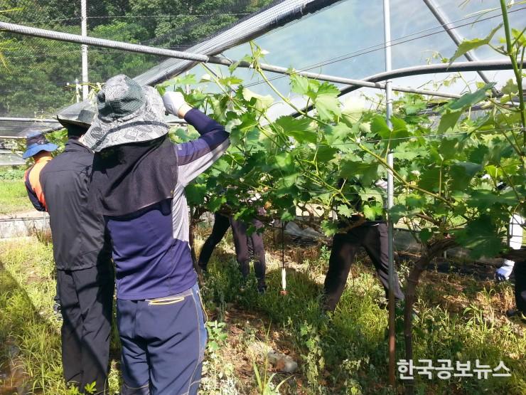 기사 사진