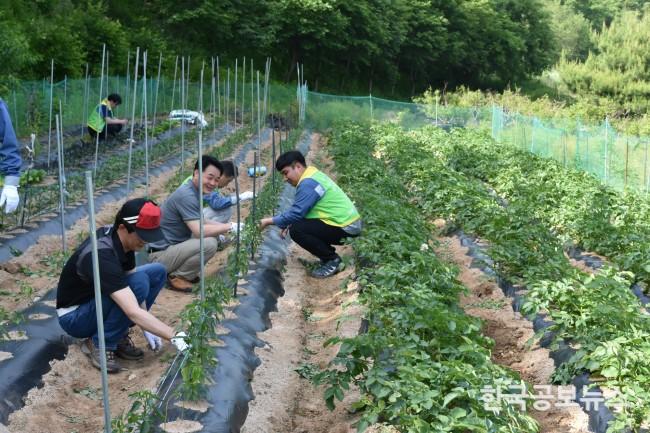기사 사진