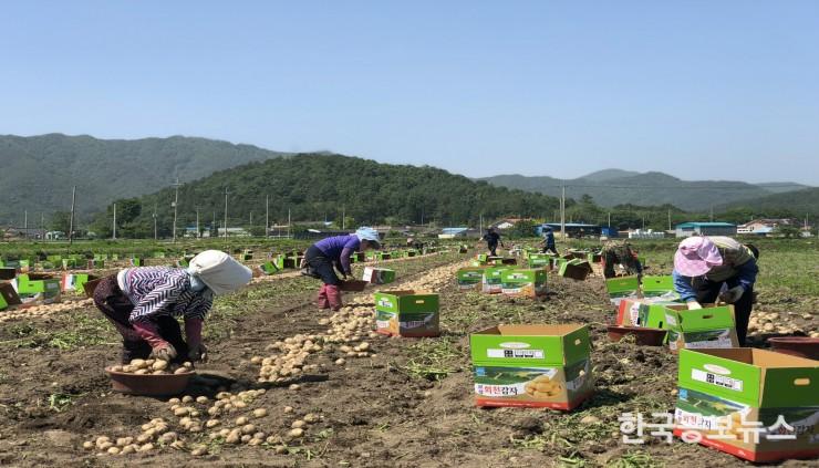기사 사진