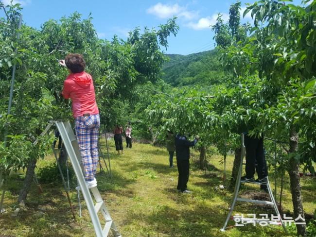 기사 사진