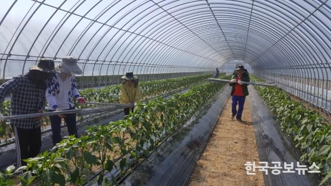 기사 사진