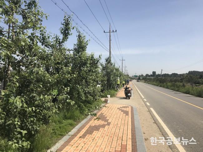 기사 사진