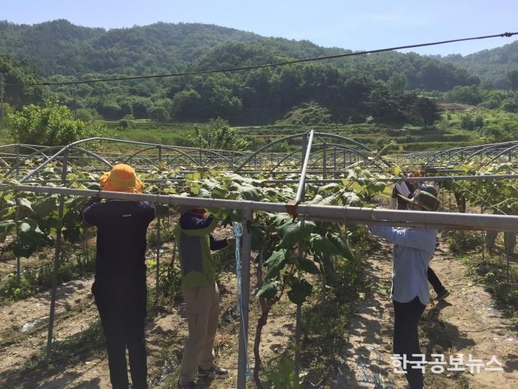 기사 사진