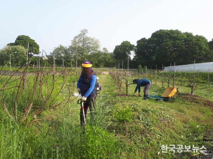 기사 사진