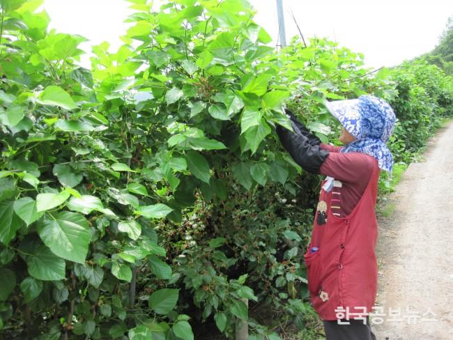 기사 사진
