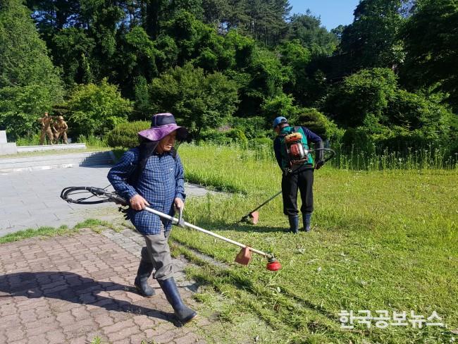 기사 사진