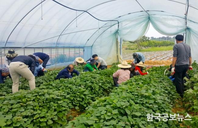 기사 사진