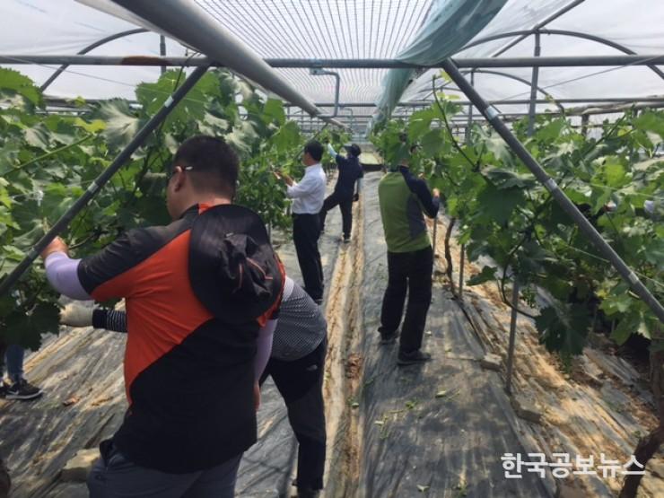 기사 사진