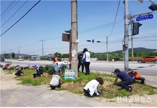 기사 사진