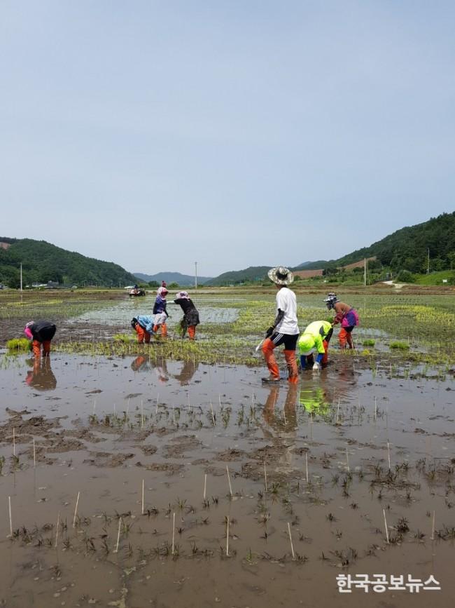 기사 사진