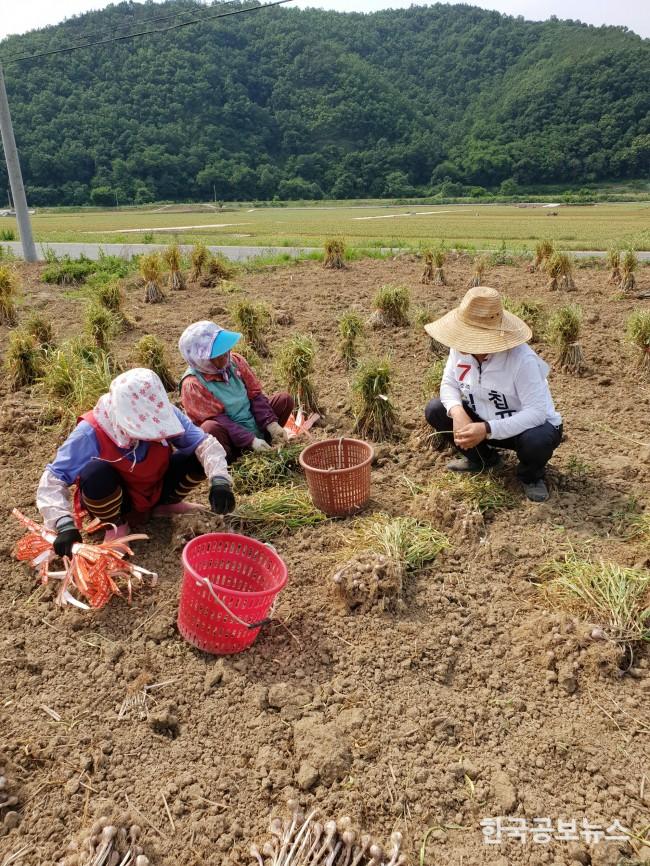 기사 사진