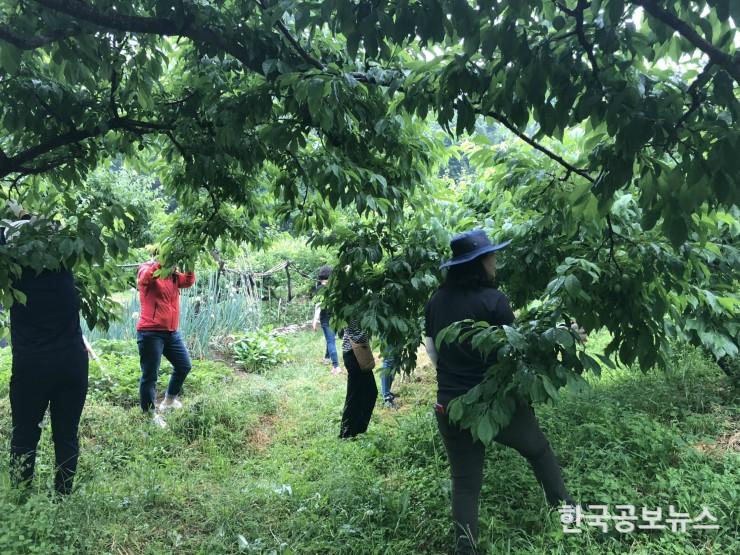 기사 사진