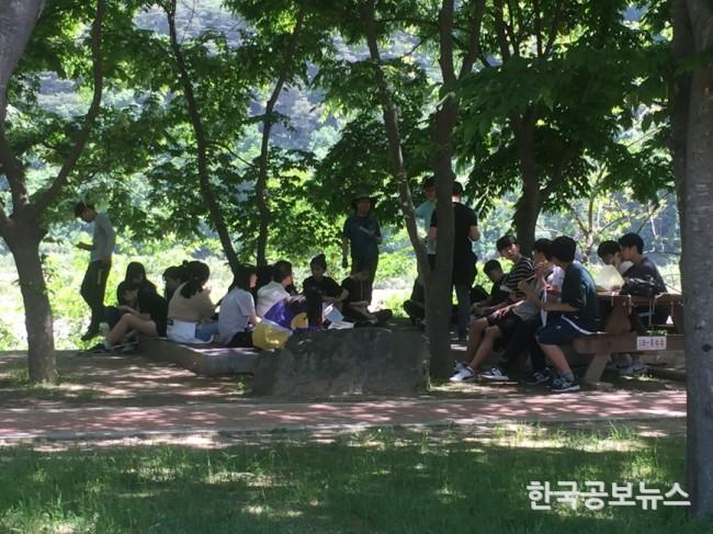 기사 사진